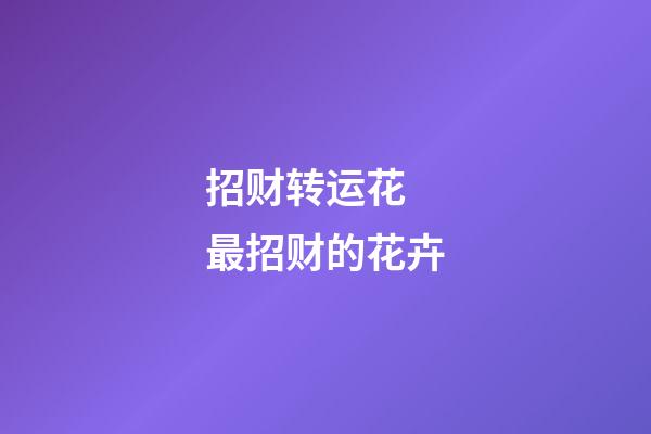 招财转运花 最招财的花卉